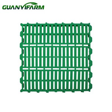 כבש רצפת פלסטיק