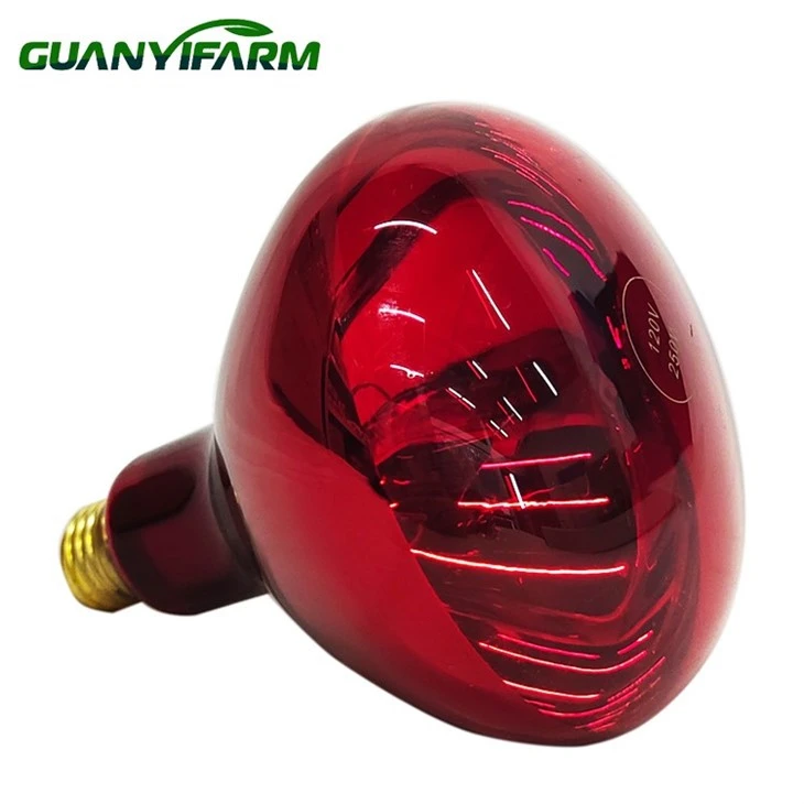 מנורת אינפרא אדום R125 150 וואט