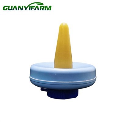 פטמה צפה לבהמות